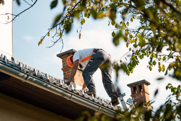 Best Roof Repair Services  in Luxemburg, WI