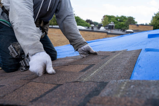 Best Storm Damage Roof Repair  in Luxemburg, WI