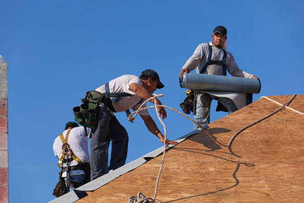Best Shingle Roofing Installation  in Luxemburg, WI