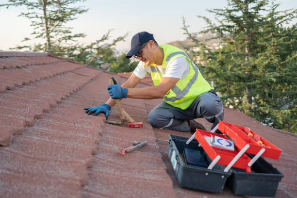 Best Roof Maintenance Services  in Luxemburg, WI