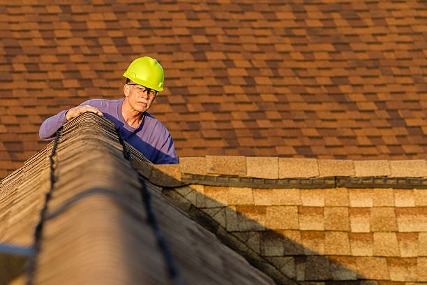 Best Metal Roofing Contractor  in Luxemburg, WI